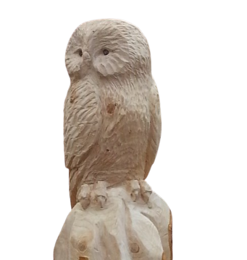 Holzskulptur Kauz