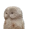 Kauzsymbol